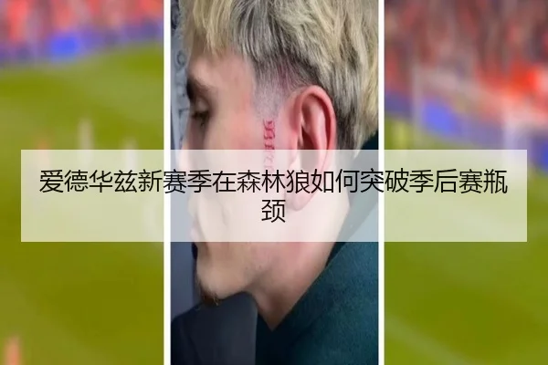 爱德华兹新赛季在森林狼如何突破季后赛瓶颈